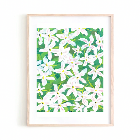White Jasmine art print