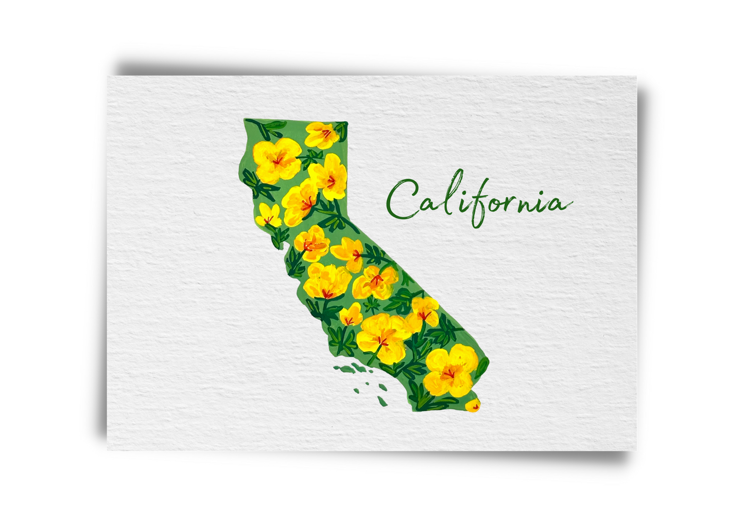 California State Flowers Postcard