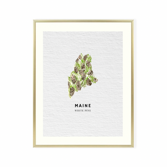 Maine State Flower original