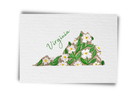 Virginia State Flowers Postcard