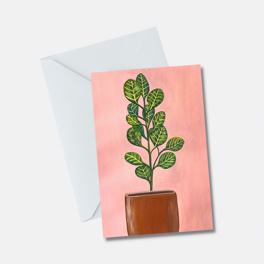 Fiddle fig tree Greeting Cards