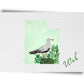 Utah State Birds Postcard