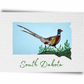 South Dakota State Birds Postcard