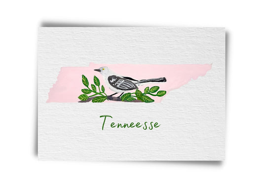 Tennesse State Birds Postcard