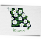 Missouri State Flowers Postcard
