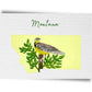 Montana State Birds Postcard
