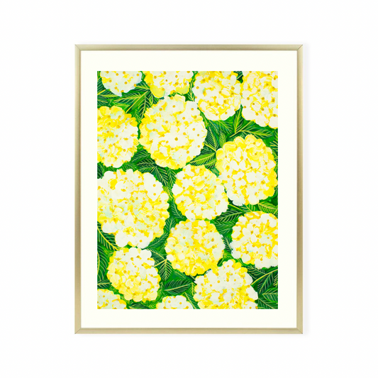 Yellow Hydrangea original