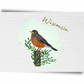 Wisconsin State Birds Postcard